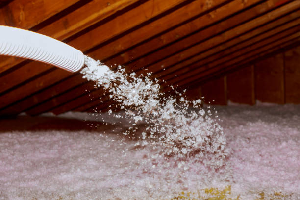 Best Insulation Replacement Services  in East Flat Rock, NC
