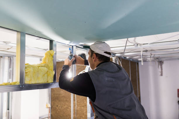 Best Insulation Contractor Near Me  in East Flat Rock, NC