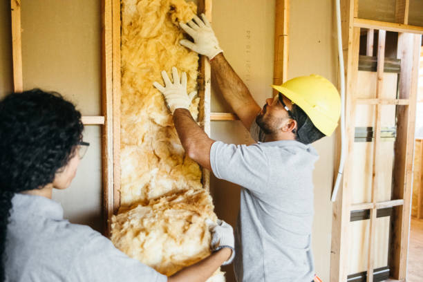 Best Energy-efficient Insulation  in East Flat Rock, NC