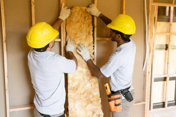 Best Cellulose Insulation  in East Flat Rock, NC