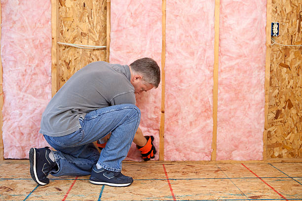 Best Soundproof Insulation Installation  in East Flat Rock, NC
