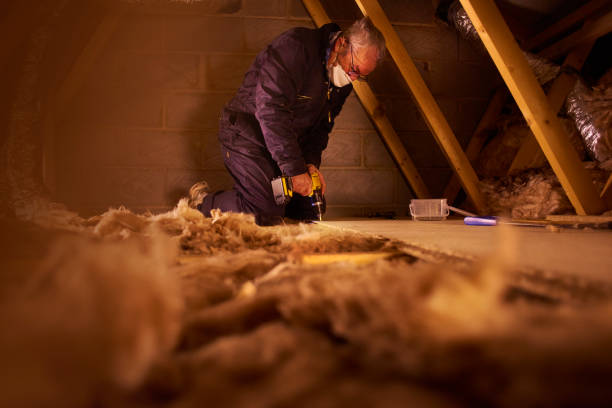 Best Insulation Inspection Services  in East Flat Rock, NC